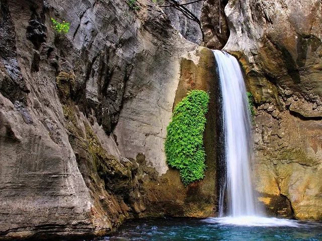 Ein Wasserfall, der sanft in ein Becken fällt, während daneben grüne Farne an der Felswand wachsen.